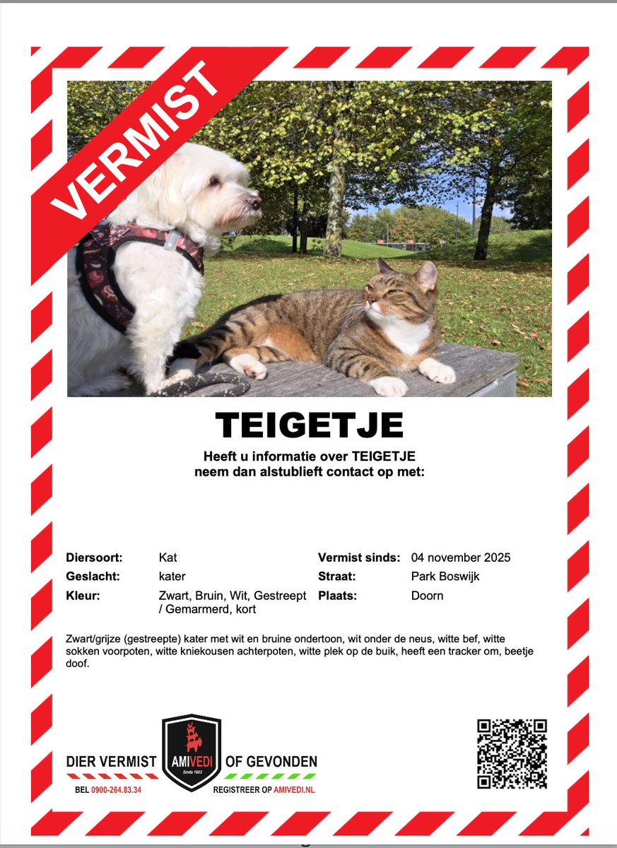 Lieve mense. Kijk alsjeblieft naar lieve Teigetje uit. 
Kan van Doorn richting Hoofddorp zijn gegaan. Zijn oude huisje. Hij wordt heel erg gemist.