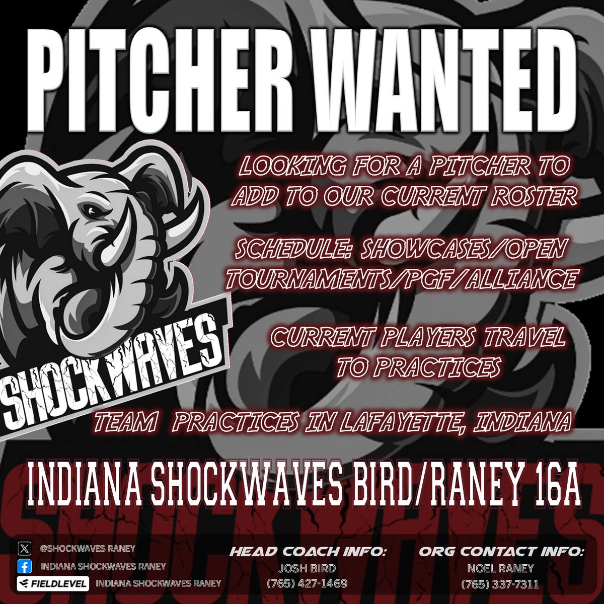 CoachBirdJ's tweet photo. Indiana Shockwaves Bird/Raney 16A is looking to add a pitcher to our rotation for the remainder of the season.

We play a mixture of Showcases, Open Tournaments, and PGF/Alliance tournaments.

If you or someone you know is looking for a team, please contact us, info on the flyer! https://t.co/FZXuvCPenx