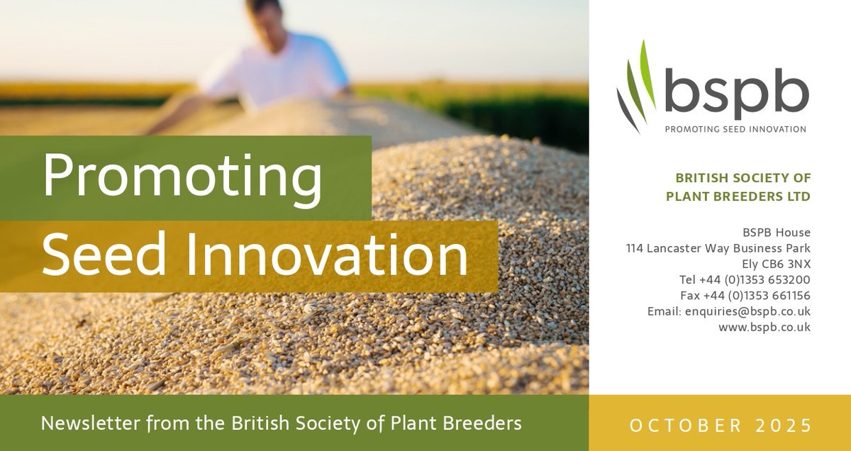 Promoting Seed Innovation: Autumn 2025 is now available to read. 

This newsletter is sent to farmers with their declaration requests. This autumn, updates are provided on EU - UK relations and precision breeding. 

bspb.co.uk/wp-content/upl…
