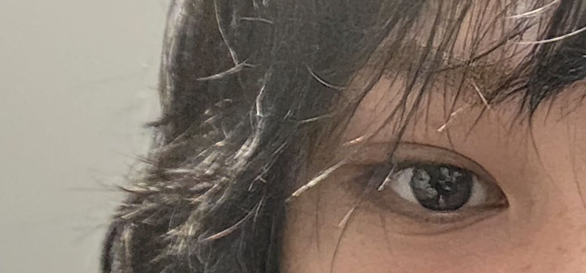 현생이 빡쎄도 와기가 이벤트를 해준다🤧