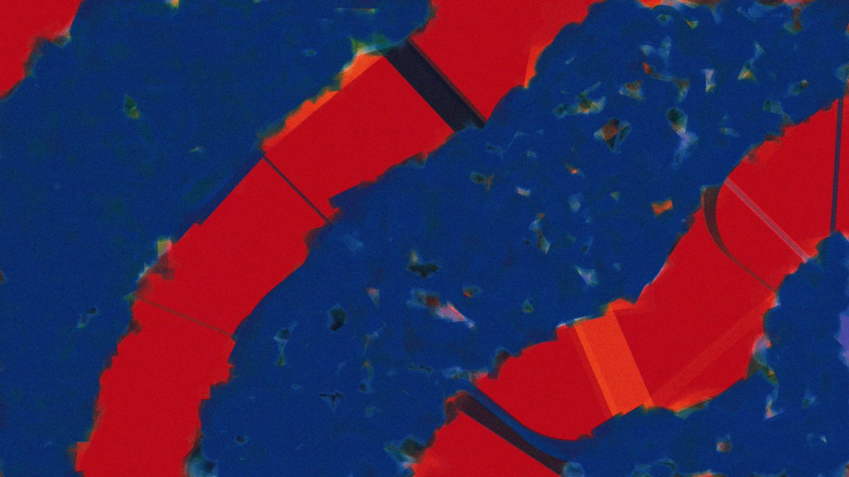 Collapsar B. tweet media