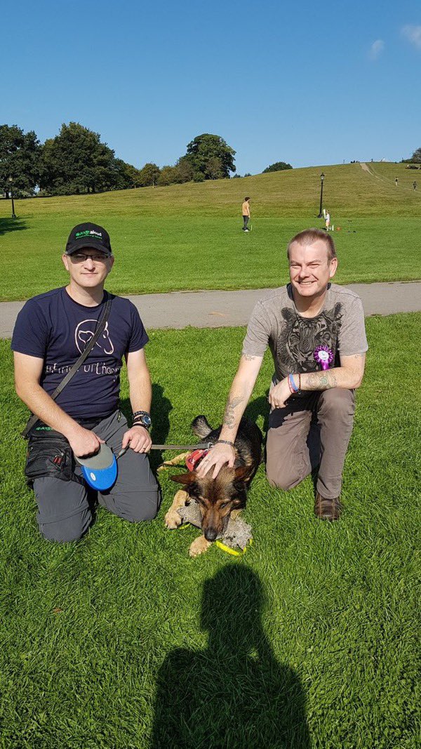 Remembering K9 Finn ~ Fabulous Finn. ❤️

“The night it happened still plays in my mind. My partner, Police Dog Finn, had been with me for seven years ~ brave, loyal, and my closest friend . When a knife flashed through the dark, he didn’t hesitate. He leapt between me and danger,