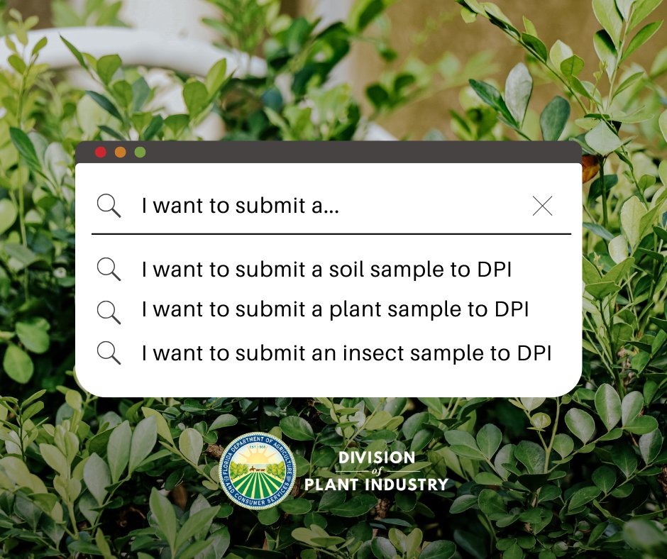 FDACS-Plant Industry tweet media