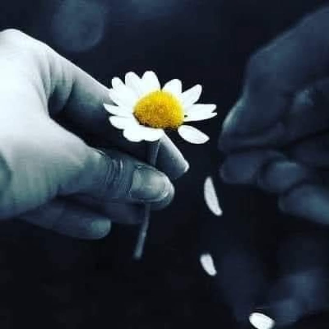 yyaren2022 (@yyaren2022) on Twitter photo 