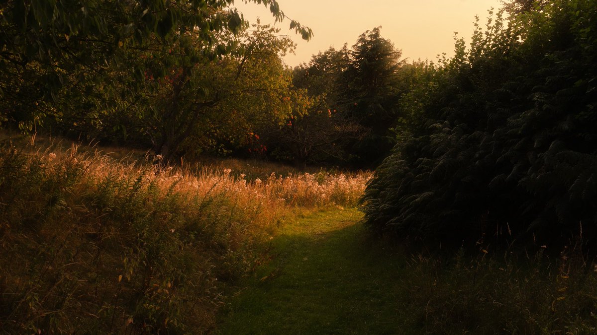 this is very whimsical