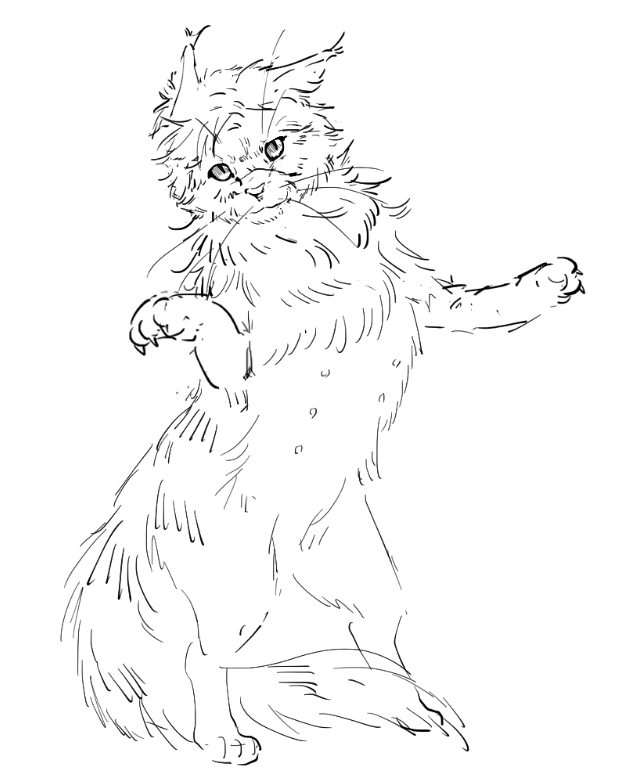 ᠨᡳᡠ᠋ᡥᡝ (@fuyuanning) on Twitter photo 