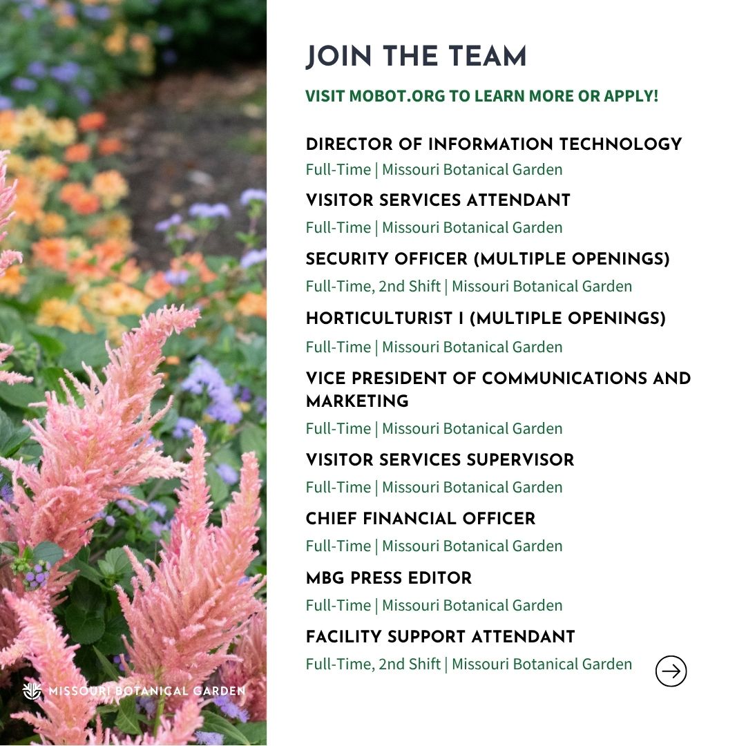 mobotgarden's tweet image. Come grow with us at #MOBOT! The Garden now has openings in various departments including:
⭐ Marketing &amp;amp; Communications
⭐ Security
⭐ Visitor Services
⭐ And more!

Learn more &amp;amp; apply today: buff.ly/nv5wY9b

📸 Nathan Kwarta, Sundos Schneider

#MOBOTGarden #WereHiring
