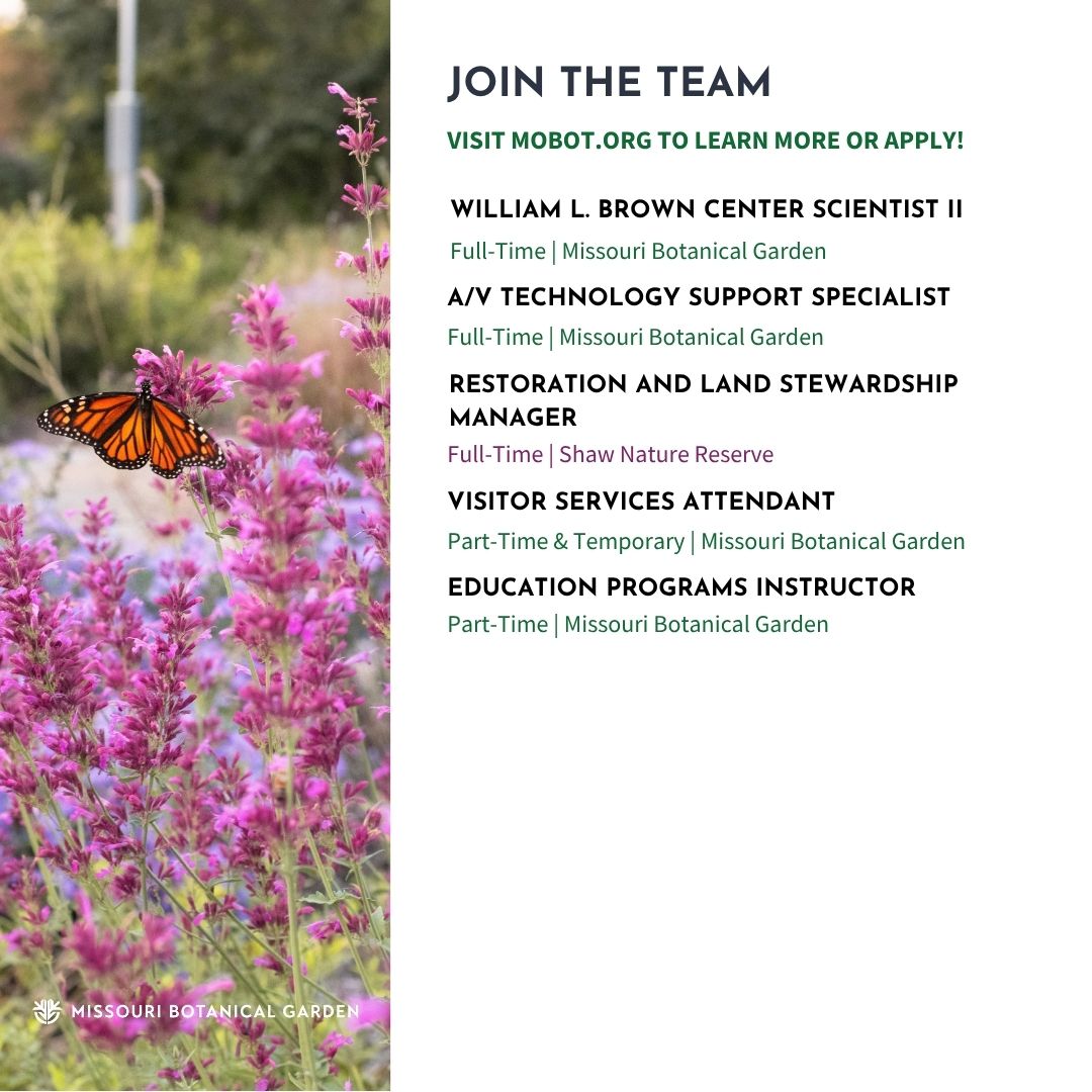 mobotgarden's tweet image. Come grow with us at #MOBOT! The Garden now has openings in various departments including:
⭐ Marketing &amp;amp; Communications
⭐ Security
⭐ Visitor Services
⭐ And more!

Learn more &amp;amp; apply today: buff.ly/nv5wY9b

📸 Nathan Kwarta, Sundos Schneider

#MOBOTGarden #WereHiring