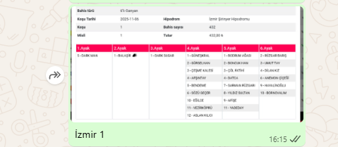 iki ekürüde sert tonpo yaptılar sonlarda diri kalan 6  aldı 66  ganyan başka baharlara kaldı hayeller