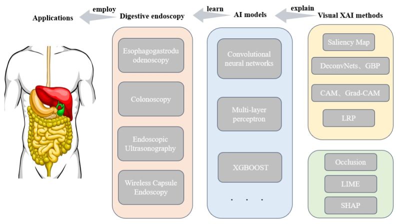 Bioeng_MDPI's tweet image. 💥Excited for the publication: &quot;Application of Explainable Artificial Intelligence Based on Visual Explanation in Digestive Endoscopy&quot;
🔗 brnw.ch/21wX140
📌 #ExplainableAI #DigestiveEndoscopy #MedicalImaging #VisualExplanation #DeepLearning