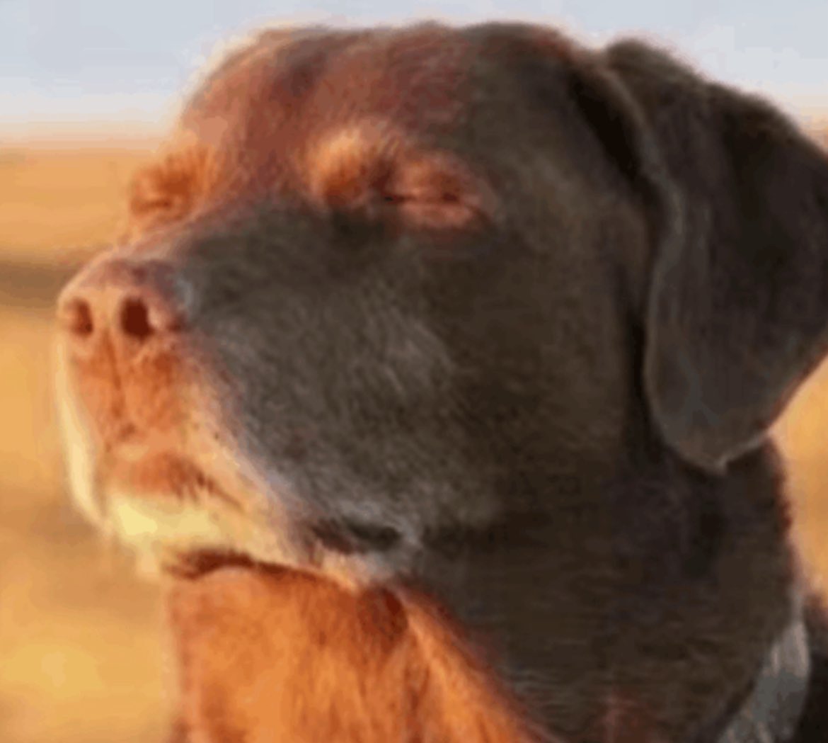 Morgen wieder von einer mittelmäßigen Mannschaft mind. 3 Dinger kassieren
#SpVgg