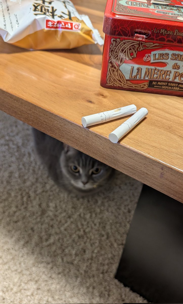 なっちょりん増量中 (@nacchorin) / Posts / X