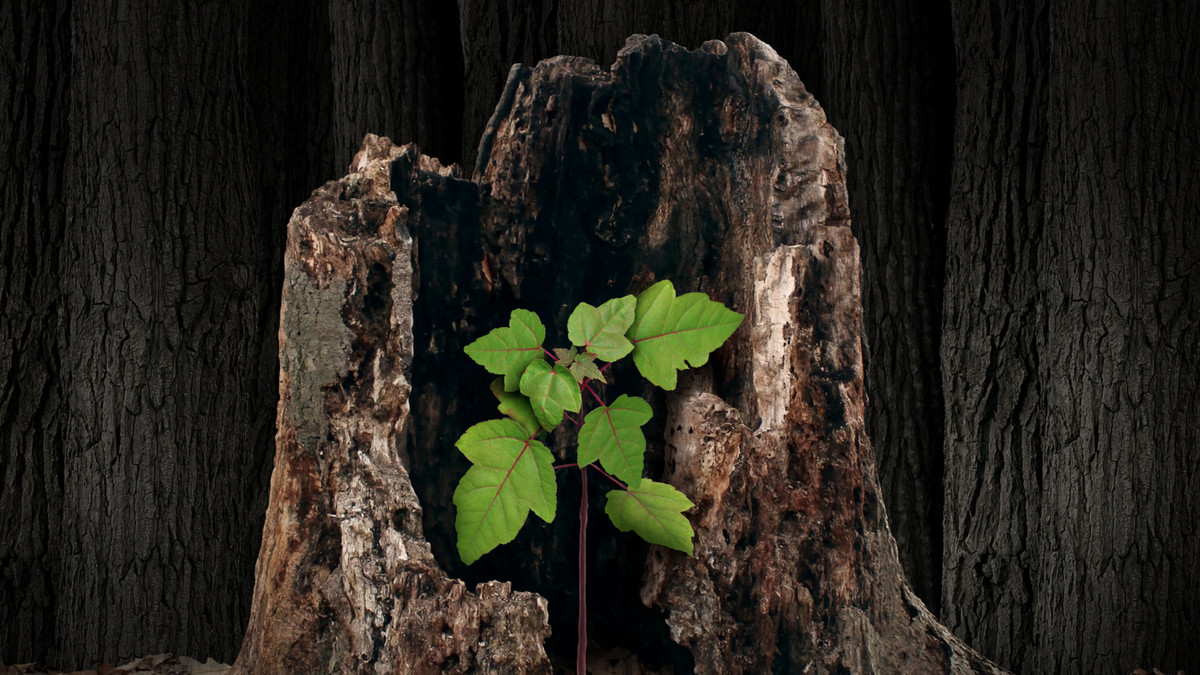 We handle all areas of family law, including #divorce, #cohabitee disputes and private law #childrenmatters, but with a strong emphasis on #financialremedy work. Read more about our compassionate family law services: jpclaw.co.uk/family