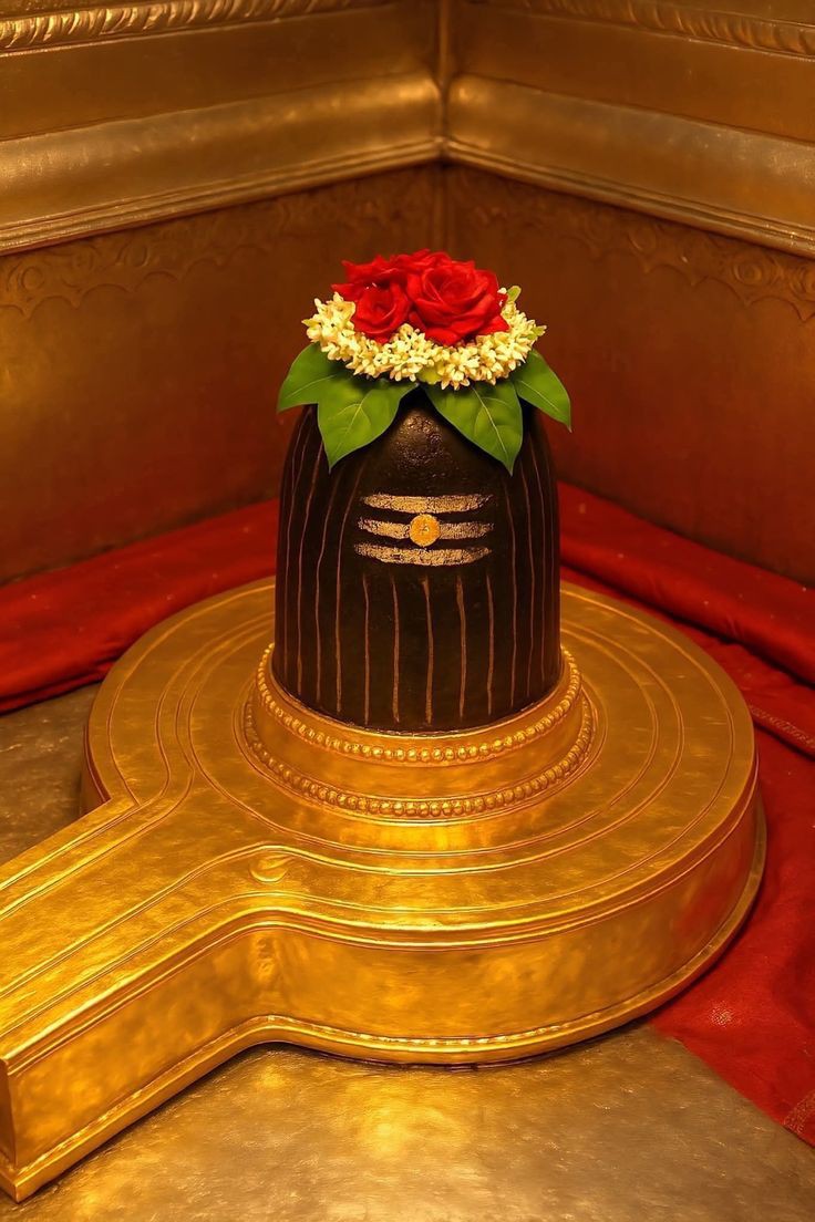 बाबा विश्वेश्वर महादेव के अद्भुत अलौकिक दर्शन शुभ रात्रि