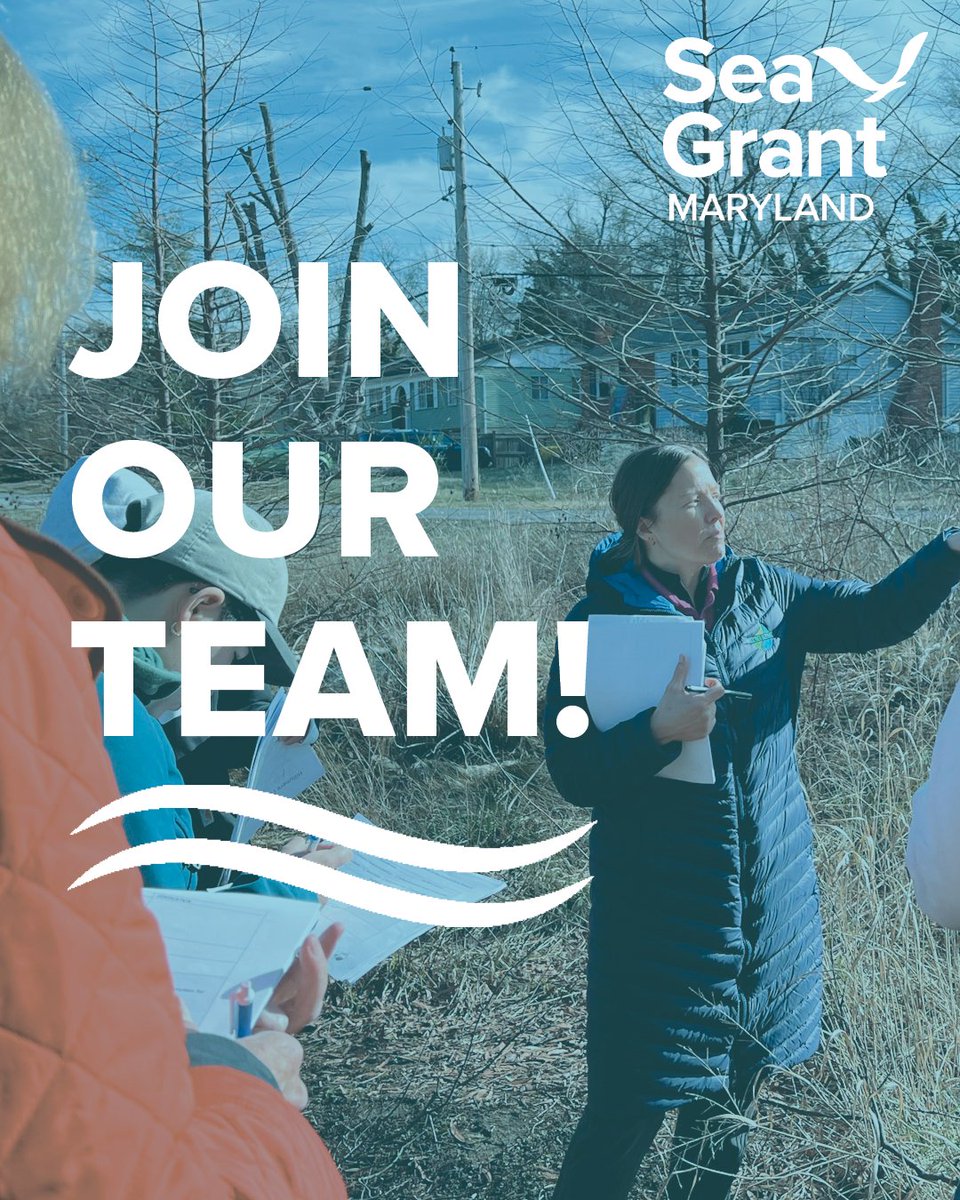 MDSeaGrant's tweet image. @UMdExtension is seeking a Regional Watershed Specialist to lead outreach efforts that improve water quality across Maryland’s Lower Eastern Shore. This individual will provide community-based programs, technical assistance, and applied research. Apply: loom.ly/7x9rqtk