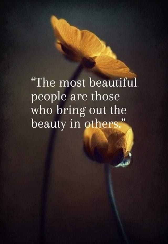 POSITIVITY (@positivitysaid) on Twitter photo 