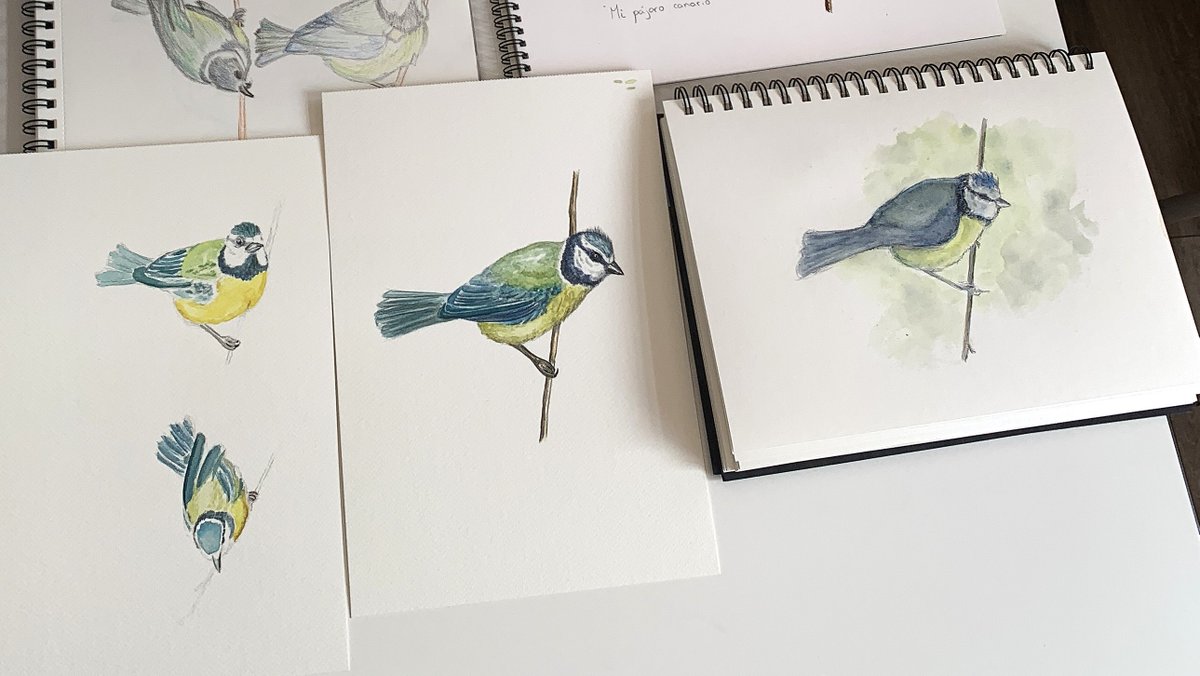 Rewilding Spain Oficial tweet media