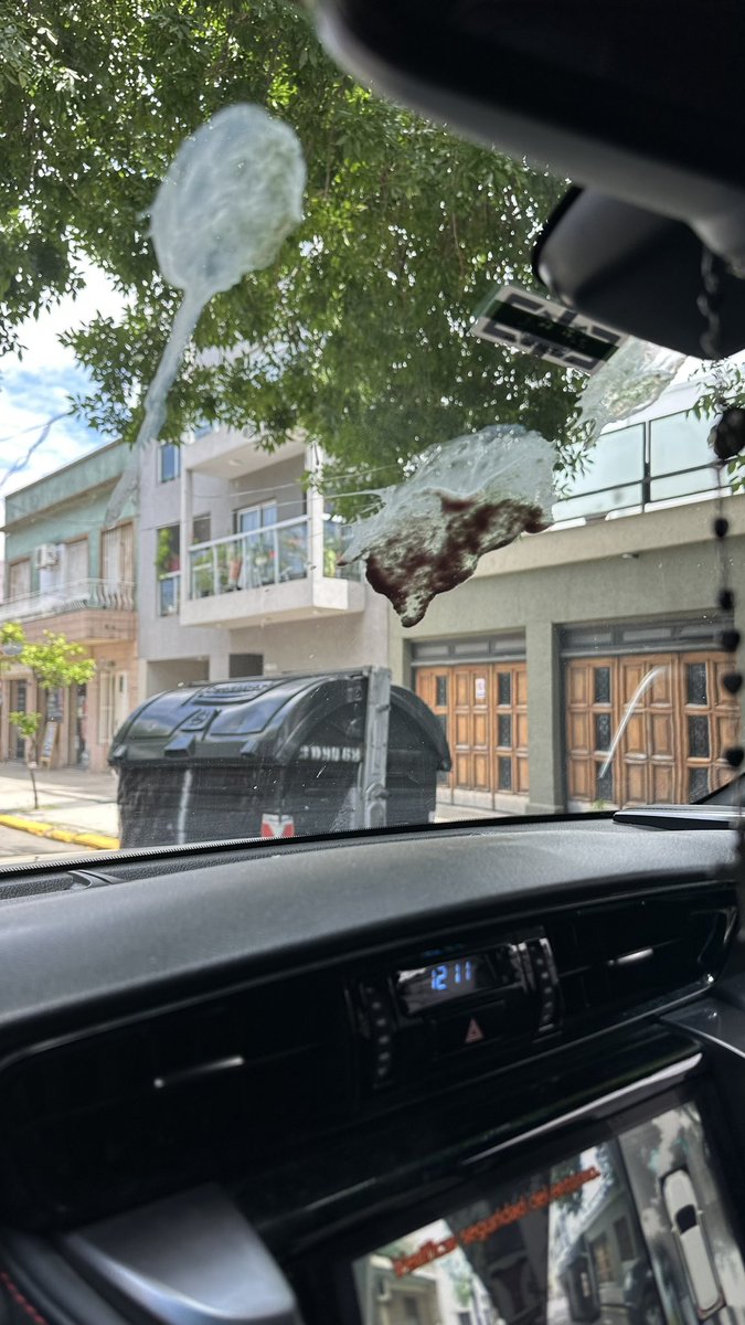 Godama6's tweet photo. Tiene que haber sido una vaca la que me cagó el parabrisas 😂😂 https://t.co/Y3nabJCJ8B