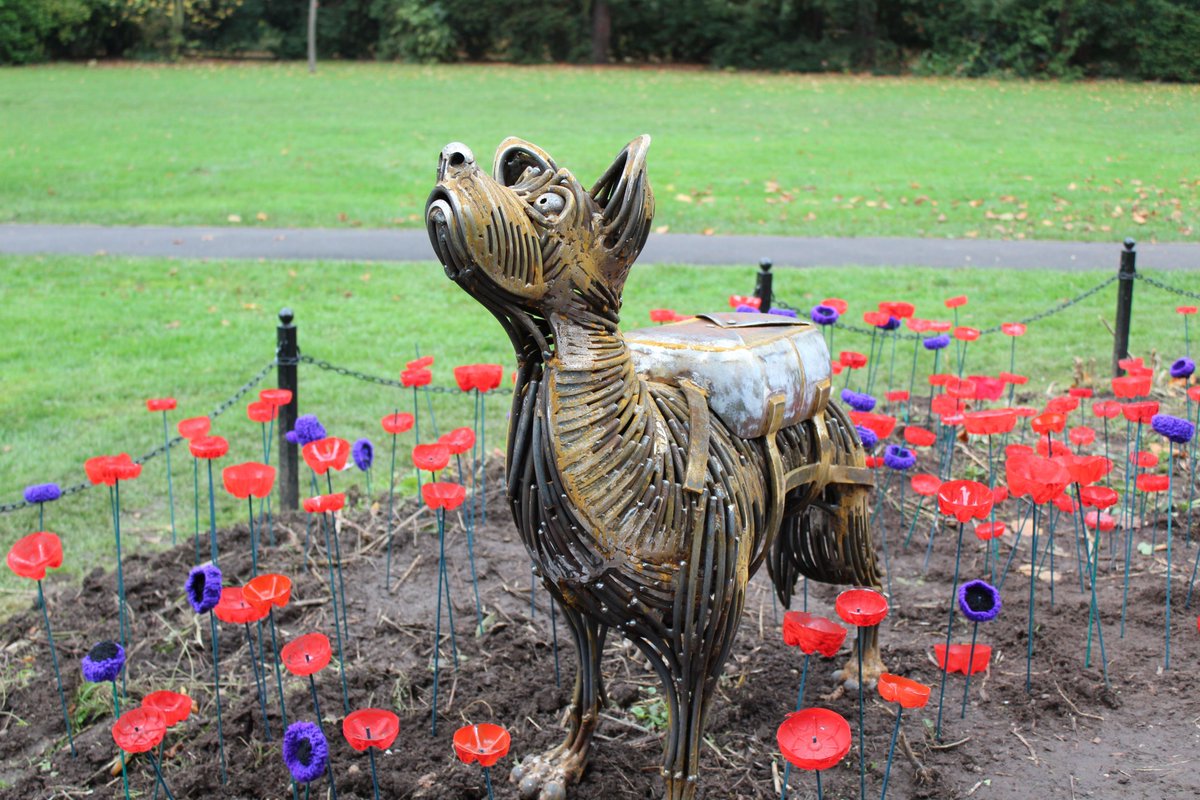 CharnwoodBC's tweet image. 🎖️A Loughborough war dog from the Second World War has been recognised with a sculpture in Queen's Park.

To find out more, visit👇

charnwood.gov.uk/news/2025/11/0…