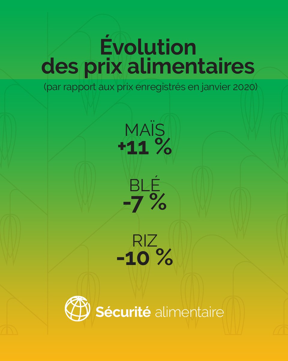 BM_Afrique's tweet image. #SécuritéAlimentaire |🌾 Par rapport à janvier 2020, les prix du maïs ont augmenté de 11 %, tandis que ceux du blé ont baissé de 4 % et ceux du riz de 10 %.⁠

Pour en savoir plus sur les prix alimentaires, consultez notre dernier bulletin bihebdomadaire : wrld.bg/XTz950XnjwU
