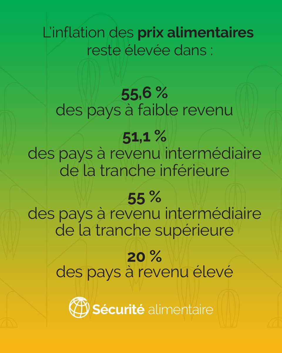 BM_Afrique's tweet image. #SécuritéAlimentaire |🌾 Par rapport à janvier 2020, les prix du maïs ont augmenté de 11 %, tandis que ceux du blé ont baissé de 4 % et ceux du riz de 10 %.⁠

Pour en savoir plus sur les prix alimentaires, consultez notre dernier bulletin bihebdomadaire : wrld.bg/XTz950XnjwU