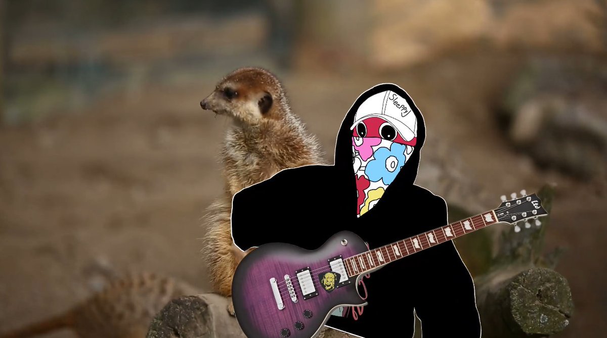 This Meerkat had never heard about Muse.. that's fucked up