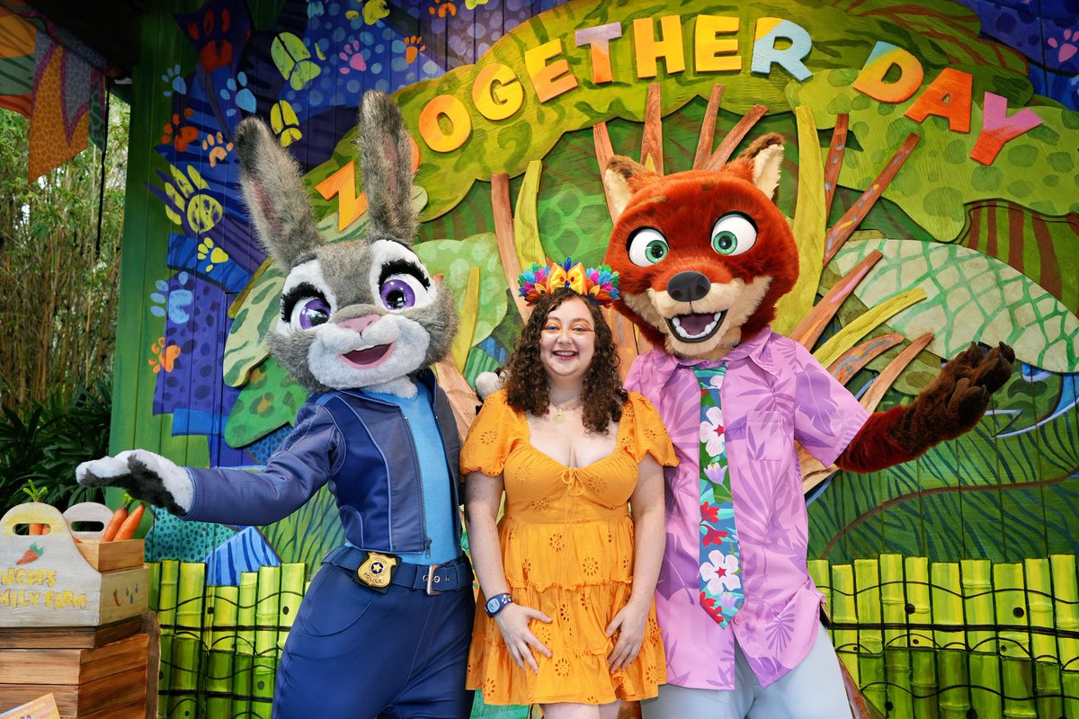MET THE FURRIES