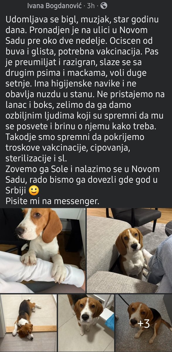 Ljudi!  Vidite ovu lutku. Ajde molim vas da mu nađemo dom, zaslužio je svu ljubav ovog sveta 😭🥹😍😍
Molim vas makar rt🙏