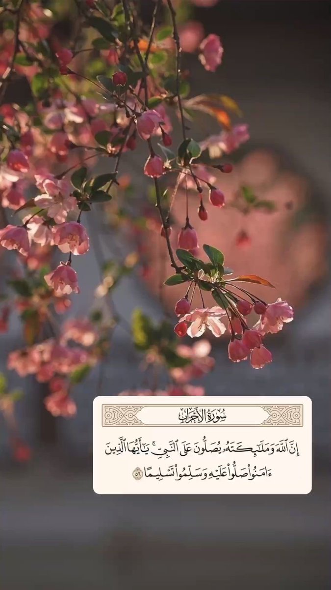 nffnnn22's tweet photo. #الصلاه_علي_النبي_عدد_خلقه
صلاة واحدة ترتفع للسماء وتهطل بعشر https://t.co/J9y3ltKQ1n