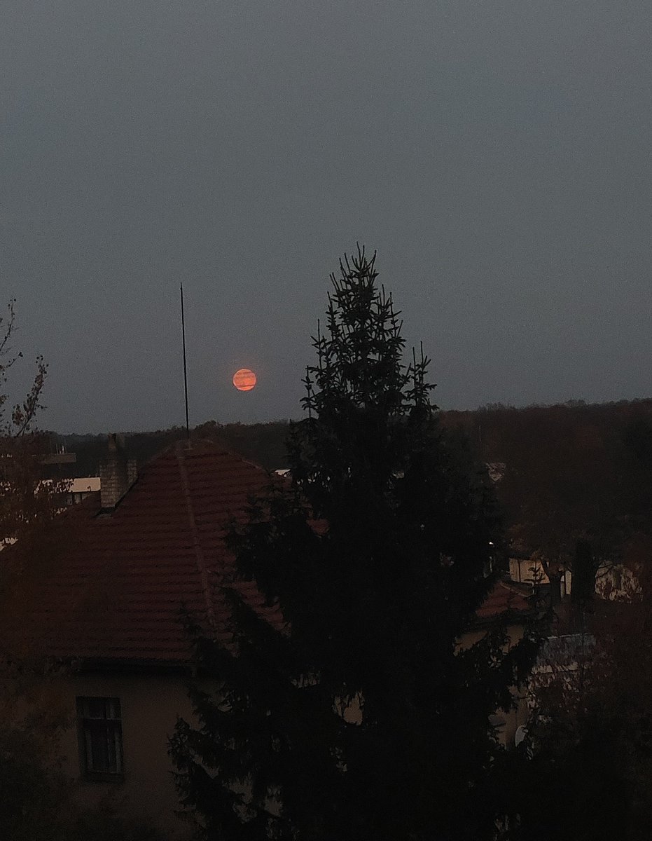 bundleofangst_'s tweet photo. the moon?????? https://t.co/Z4cX9p7Hex