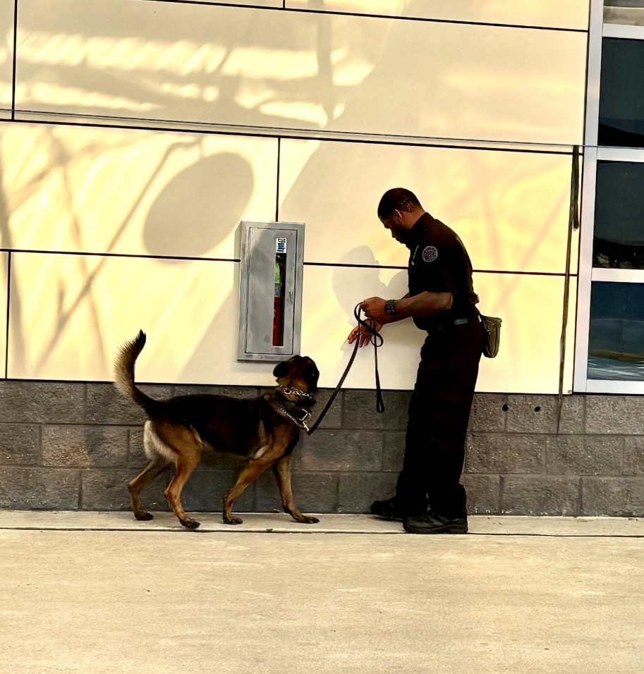 NOPDNews's tweet photo. 🐕‍🦺👮Just like our Officers, our K-9 Partners have to stay on top of their game with yearly training!  They're working on 'detection' at Louis Armstrong International Airport and sniffing in strong form!
#nopdk9unit #k9officer #k9training #nopdstrong #k9leadstheway https://t.co/yz9UslbNwr