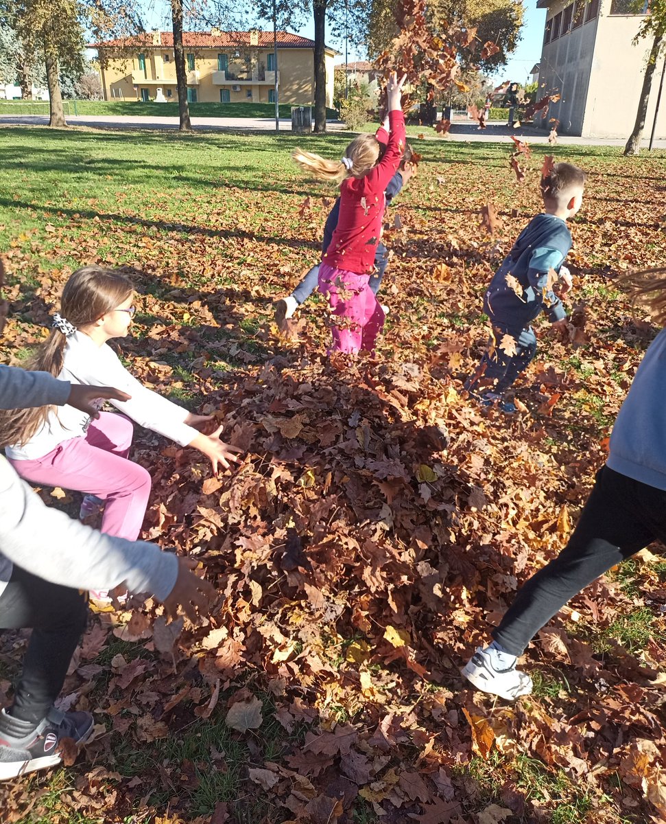 La nostra idea di foliage. 
📷