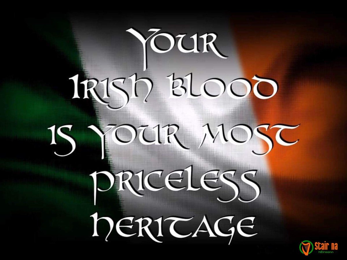 nobby mclaughlin tweet media