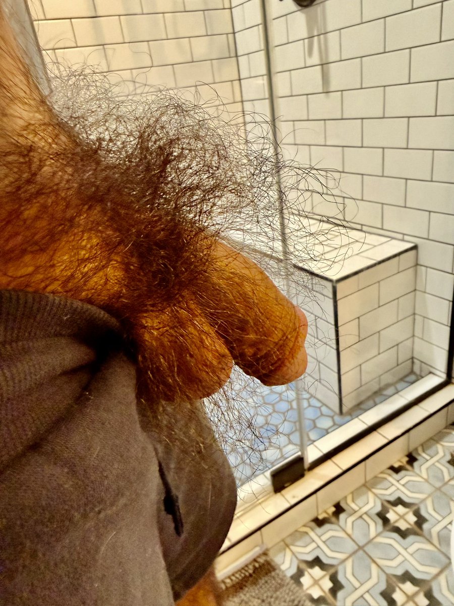 RedRockBatorDad's tweet photo. Untamed Dad Bush! https://t.co/DLDWZcRvHV