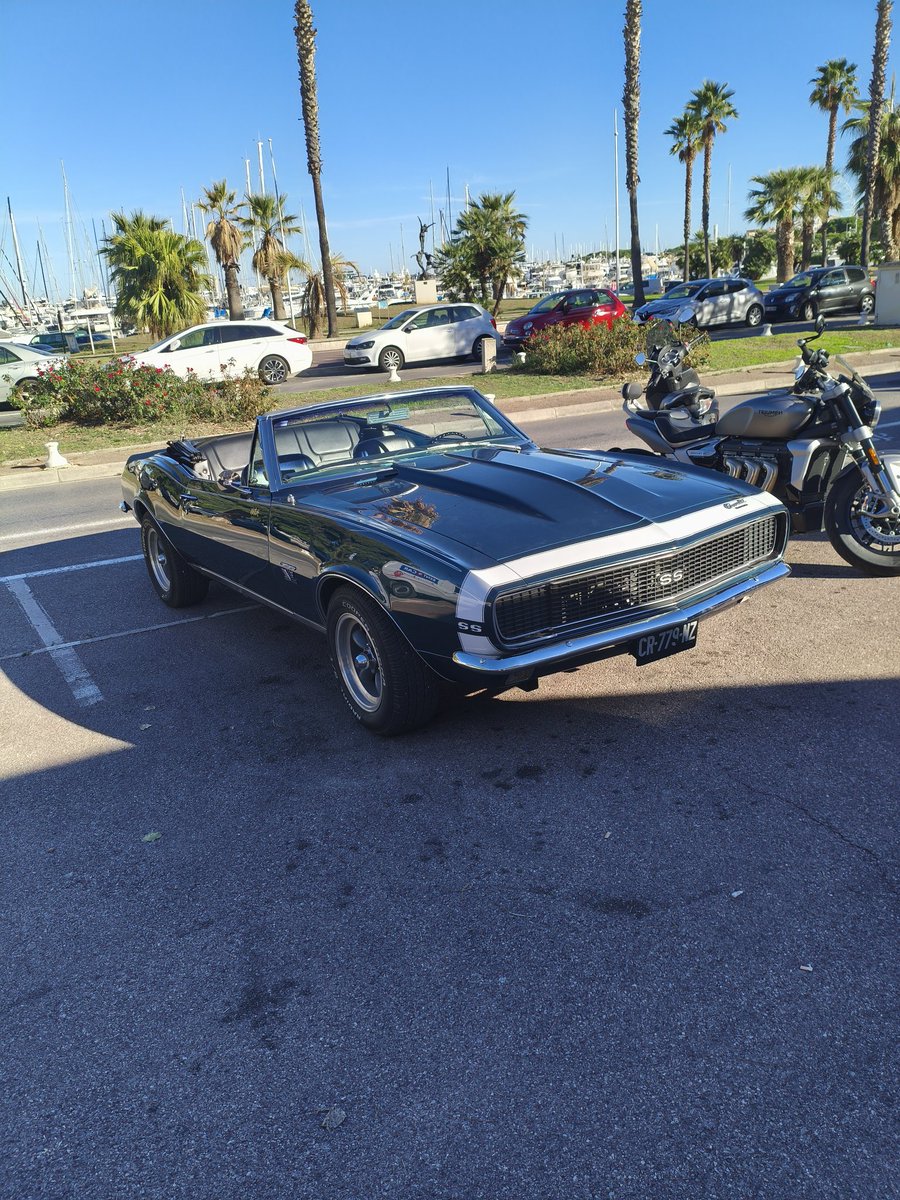 elboylayout's tweet image. Chill...☀️☀️☀️