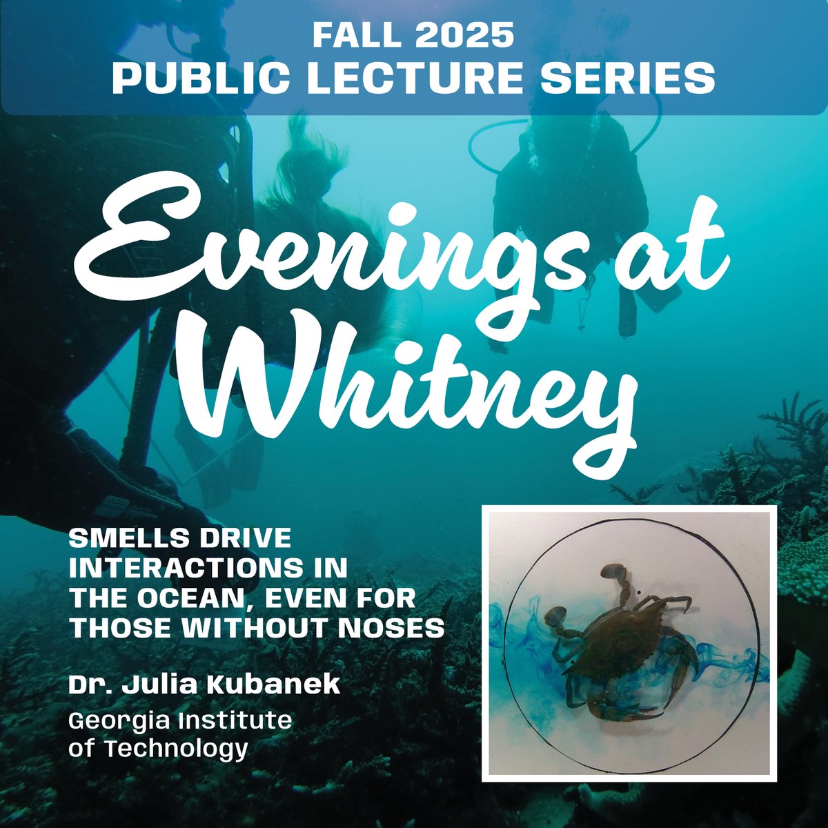 Whitney Laboratory tweet media