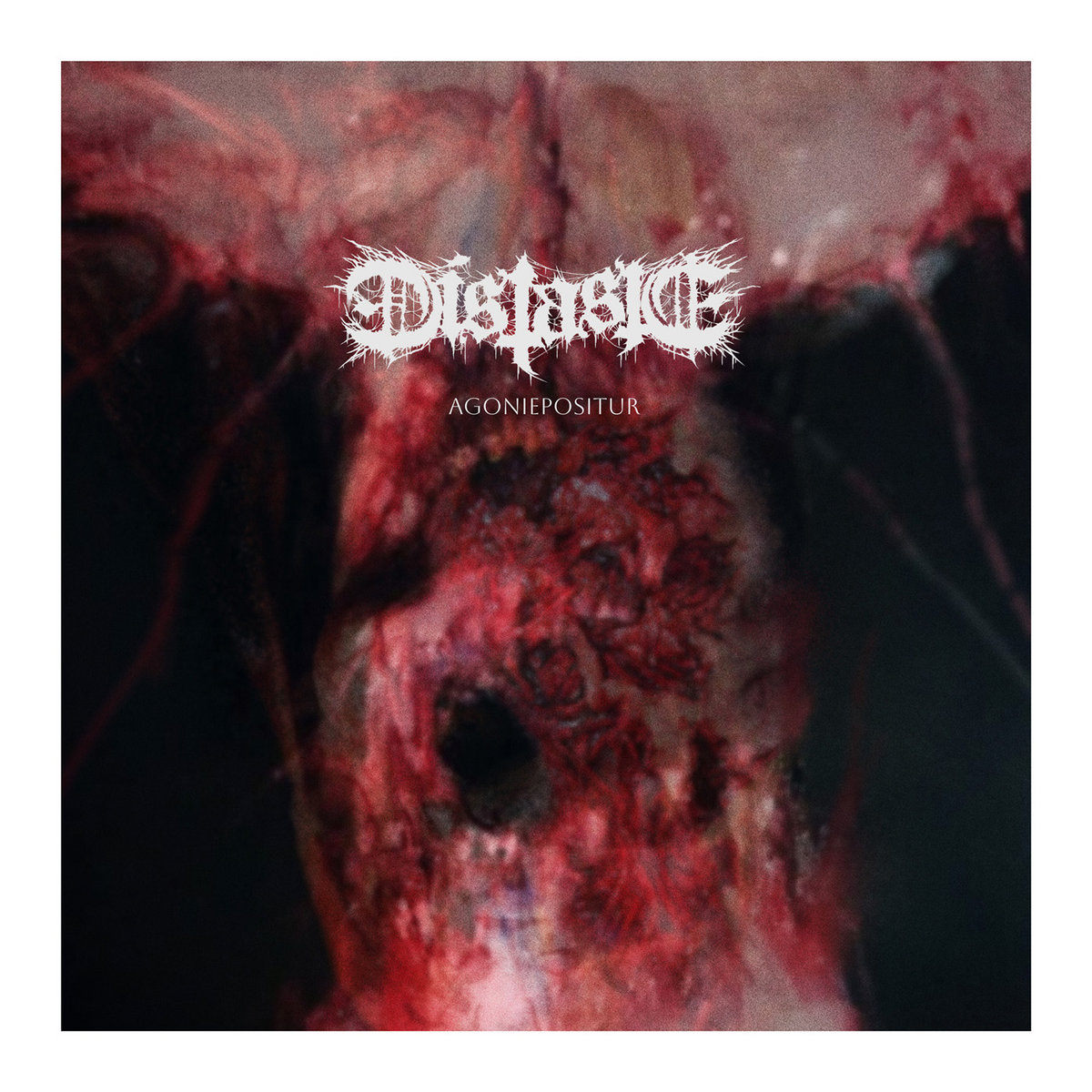 deadlystormzine's tweet photo. Destructive, maniacal grindcore brutal death metal that will rip you apart alive! An album where you will encounter a perfectly tuned machine for killing with music! Recenze/review - DISTASTE - Agoniepositur (2025): https://t.co/oIXrzArZ6V #Deathmetal #distaste #agomipositur #Review #brutaldeathmetal #grindcore #newalbum #NowPlaying .@FDAREKOTZ .@jakubasphyx
