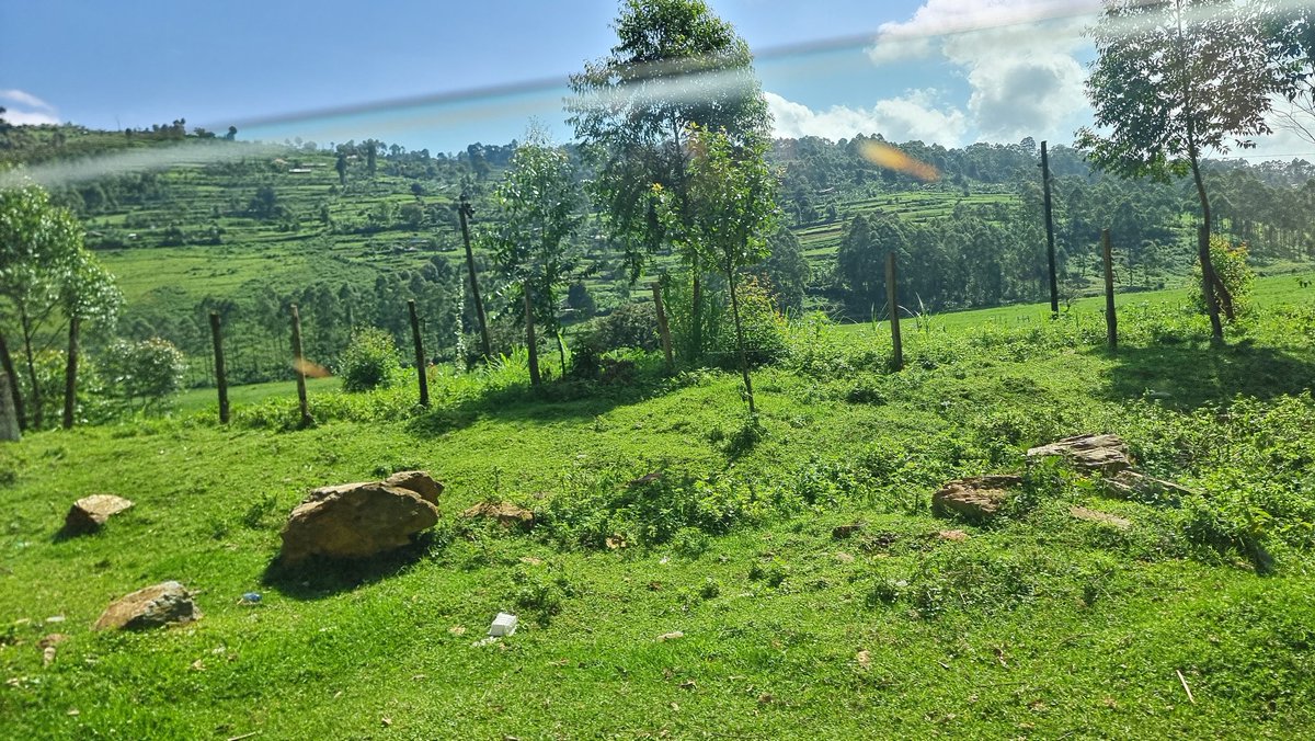 <a href="/RepOgles/">Rep. Andy Ogles</a> I took a few photos of the countryside on my way to Kisoro District last weekend. From the work I do daily, the <a href="/AtlantesPC/">ATLANTES Global Observatory of Palliative Care</a> Global Observatory of #PalliativeCare just released a report showing #Uganda as the only African country at the advanced stage of service development.