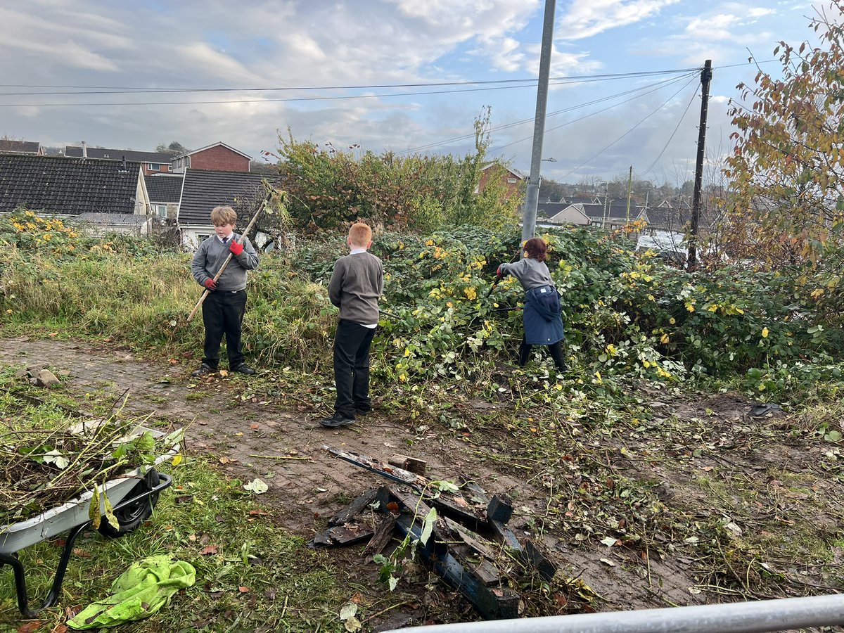 After school Gardening club, working hard again to clear the brambles. Great job all 👏🏻👏🏻