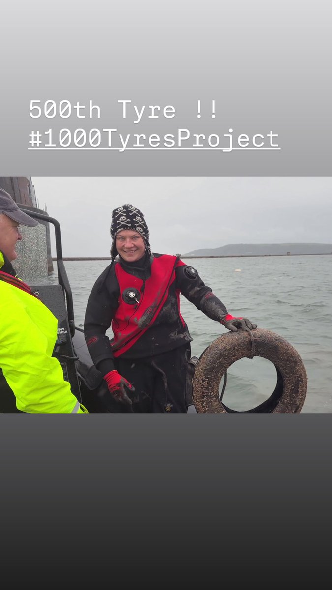 SHIPS Project tweet media