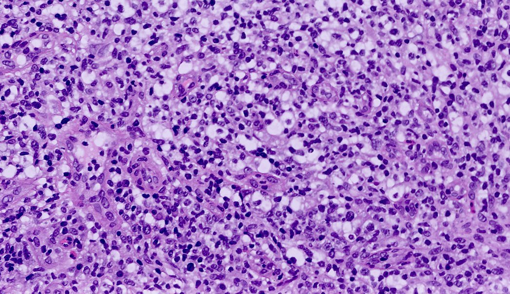 Shachar Path tweet media