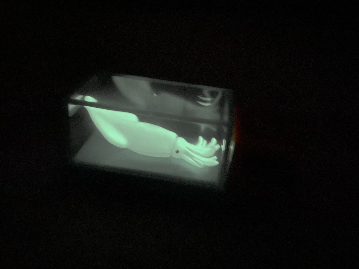 _ika__squid's tweet photo. くら寿司のトミカのイカゲット🦑

ナイトモードで撮ると幽霊みたいに写る、、、、 https://t.co/oVkEEGYrR7