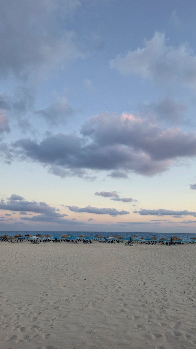 Mohamed (@mohamed_s_a_n) on Twitter photo 