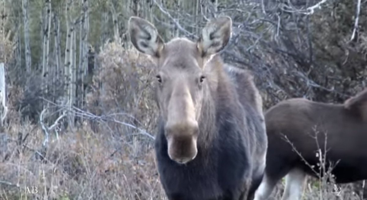 tmallard's tweet image. Wrong, #offgridders broke free of the grid&apos;s #infrastructure overhead is #Centralized, gotta run a zillion miles  of powerlines to users !

Distributed power in onsite

The real difference ?

Distributed power is owned CAPACITY while the grid power YOU pay by-the-watt for_profit…