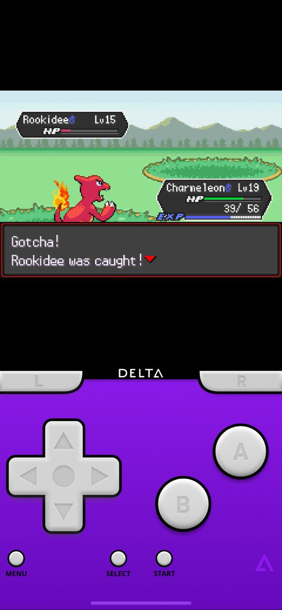 Adam Holt tweet media