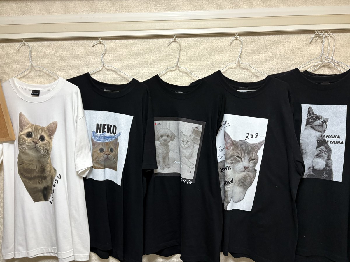 ねこ:0ページ E様オーダーページ スマートセンサ リニア近接タイプ【ZX-E