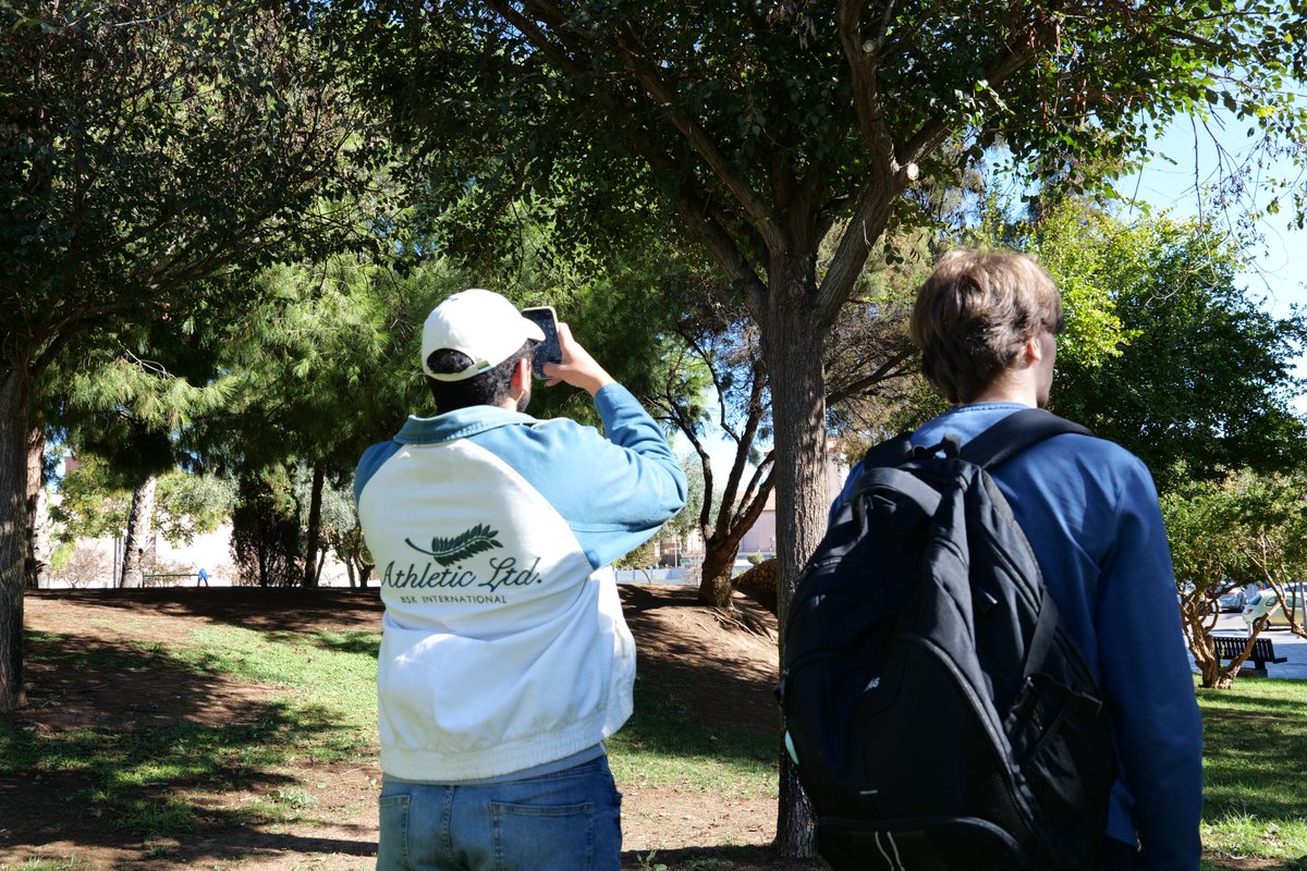 Jardines de Cartagena tweet media