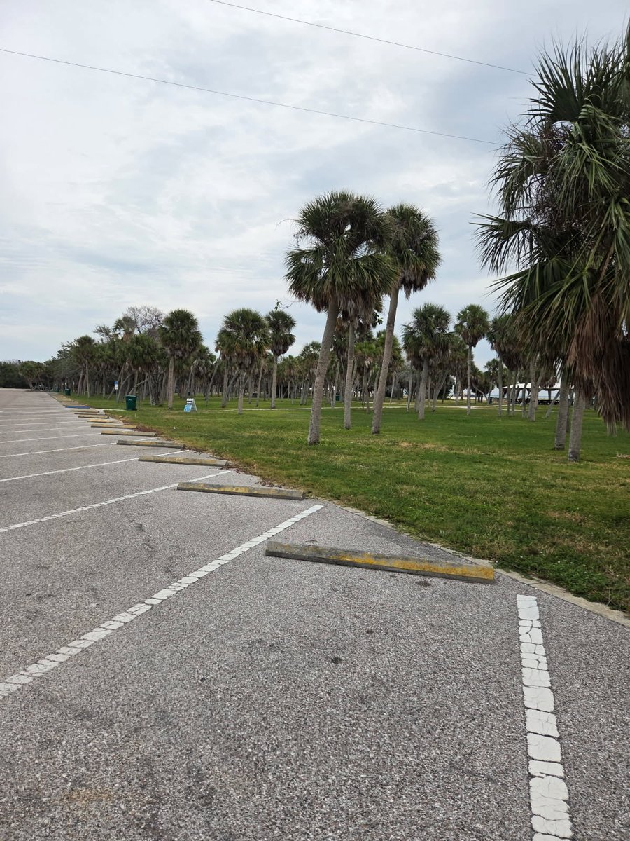 Pinellas County can plug this loss of parking revenue by designating East Beach as clothing-optional. Support TBFB. Membership, buying merch, volunteering - just three ways to do so. TBFB.org