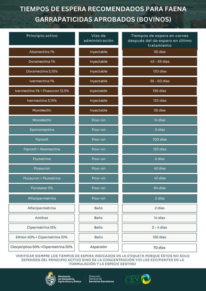 💡Recomendaciones

⚠️Compartimos ℹ️ sobre tiempos de espera para enviar a faena los vacunos tratados con garrapaticidas

#SanidadAnimal #PeríodoDeRetiro #UsoResponsableDeMedicamentos #BuenasPrácticas #ProducciónGanadera 
<a href="/MGAPUruguay/">MGAP</a> #DGSG #CEV Dra. Betina Cóppola #PlanAgro