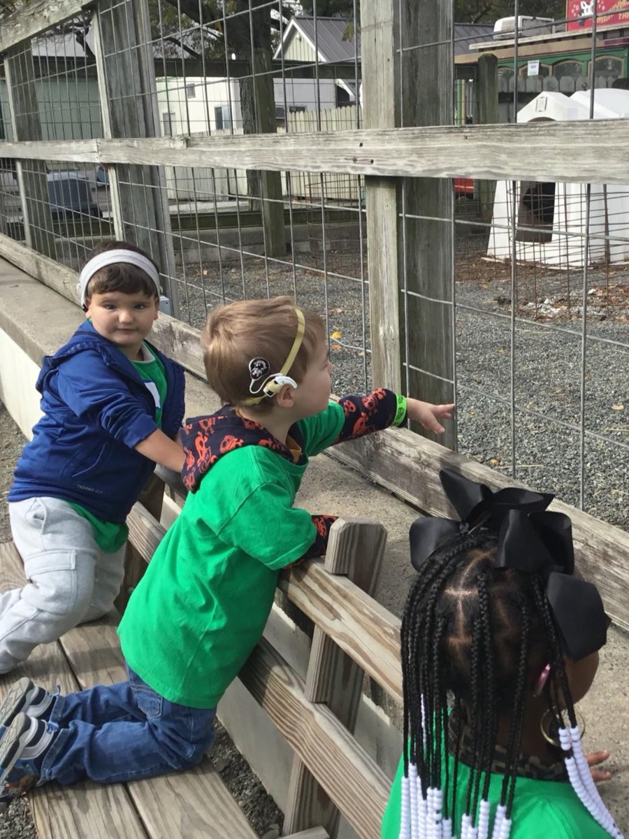 clarkeschools's tweet image. 🌽 Students dove into hands-on activities that strengthened their listening and spoken language (LSL) skills.

From pumpkin picking to hayrides, every moment blended the fun of fall with meaningful learning. 🍂🎒 

#ClarkeLeads #LiveLifewithSound #FallFun #FieldTrip
